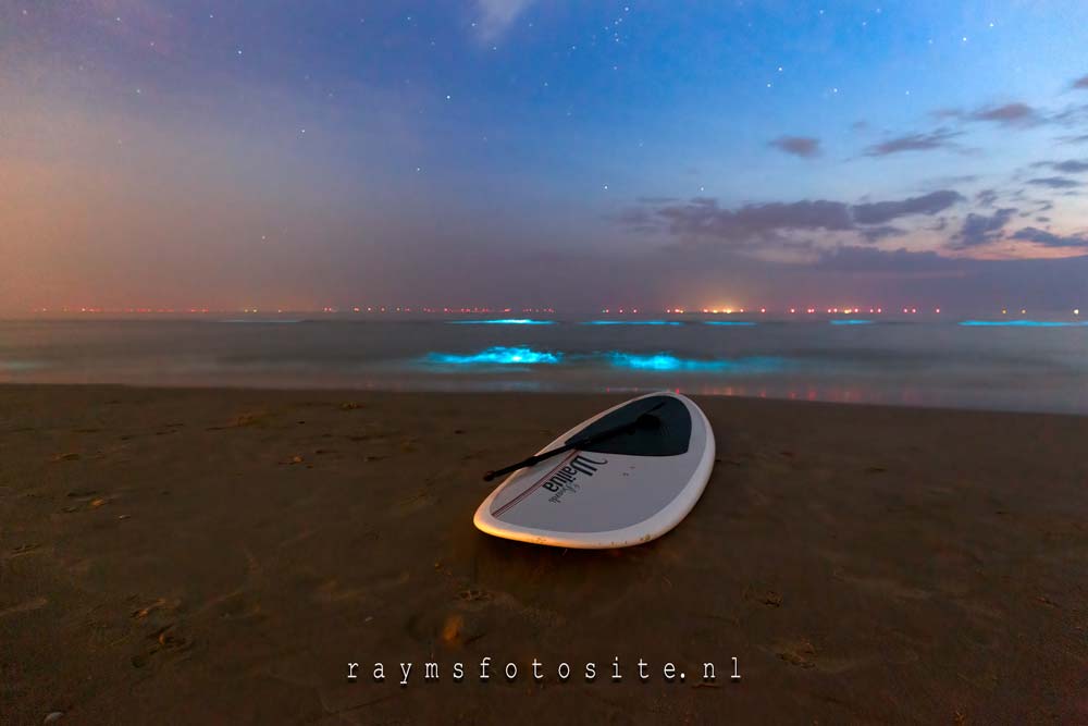 De beweging van de golven veroorzaakt een chemische reactie, ook wel bioluminescentie genoemd.