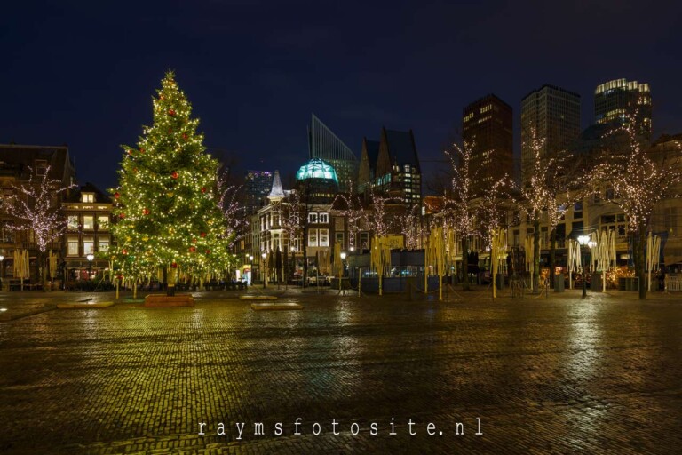Den Haag | kerst | Avondfotografie | Verlichtte kerstbomen | Steden