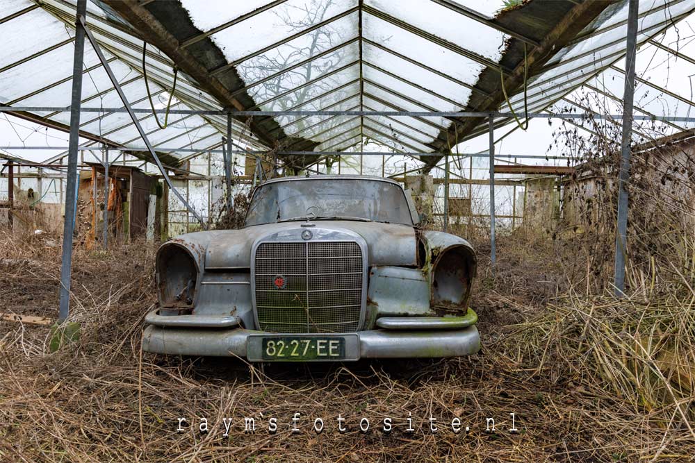 Urbex, een oude Mercedes 220 SEC, ook deze staan weer in een oude verlaten kas.