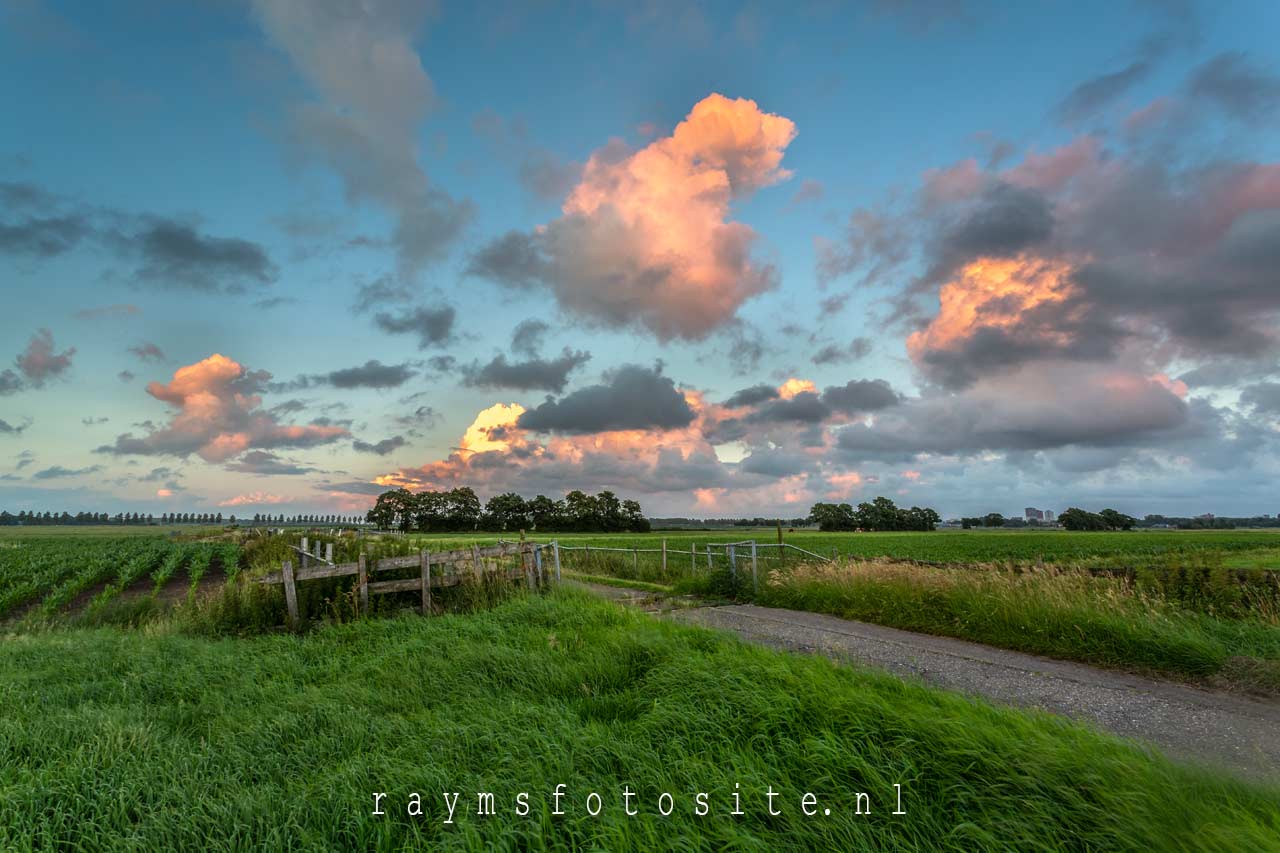 Polder achter Zoetermeer tijdens zonsondergang