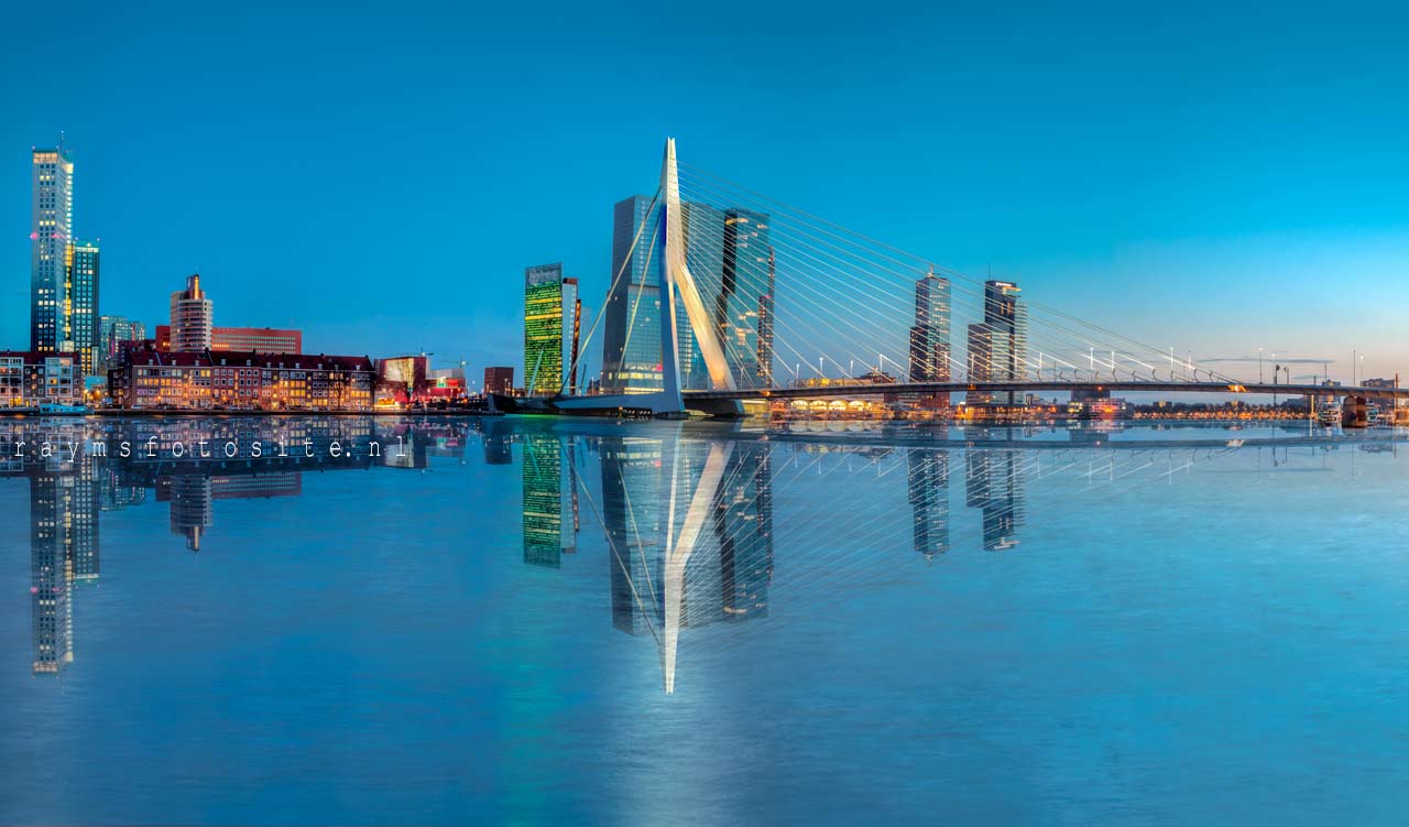 De mooiste fotos van Rotterdam, Erasmusbrug aan de Maas.