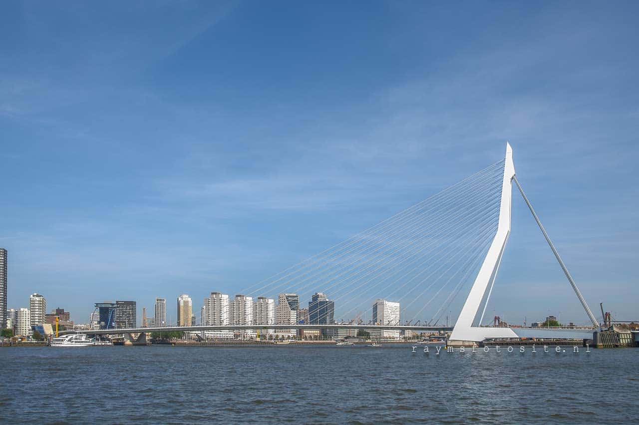 De mooiste fotos van Rotterdam, Erasmusbrug.