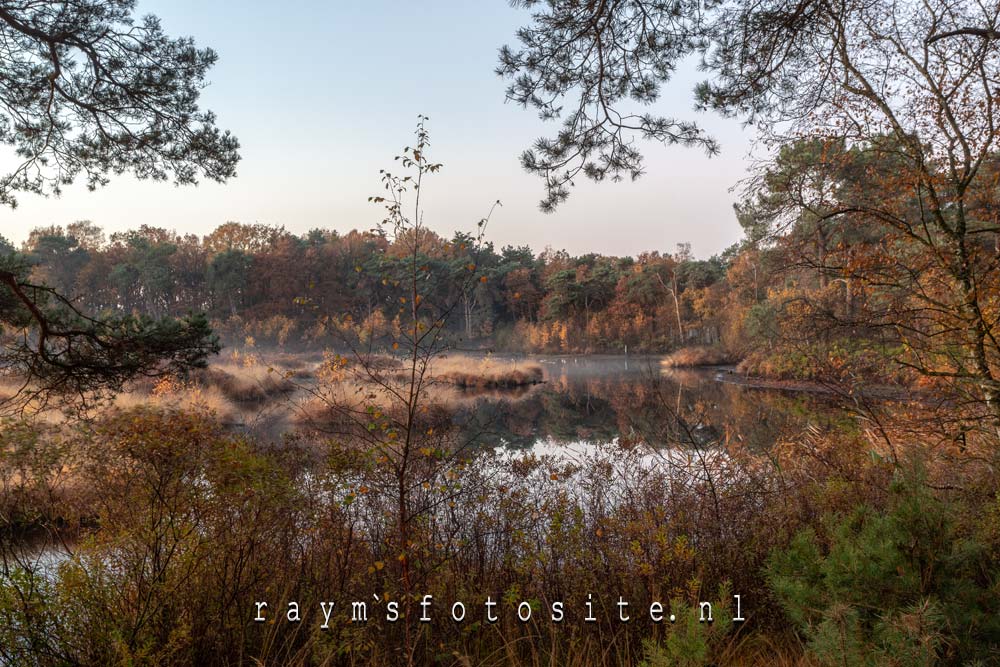 Een paar jaar eerder in de herfst, stond er veel minder water in het ven.