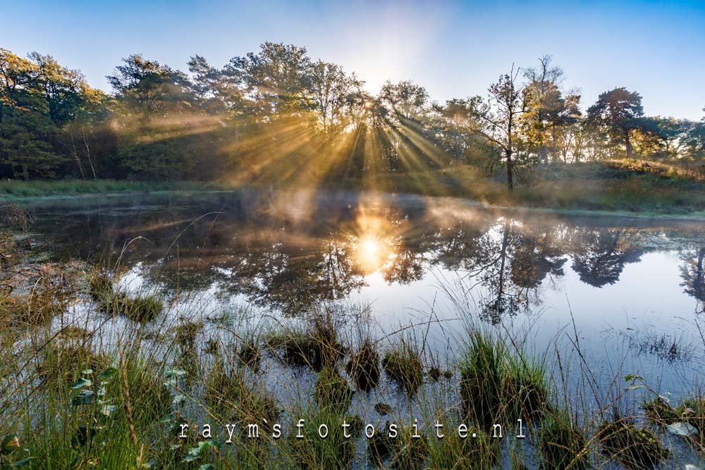 Het laatste stukje hoogveen in Strijbeek, bij Patersmoer. Prachtig die zonnestralen!