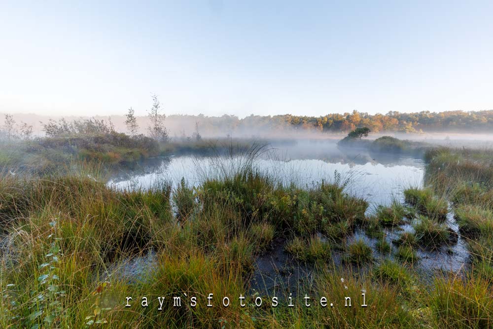 De mist hangt over het ven van de smokkelroute op de Goudberg in Strijbeek.