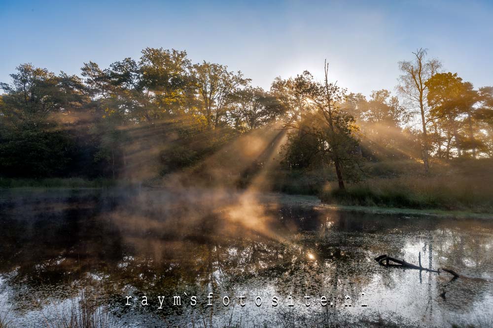 Goudbergven Strijkbeekse heide zonneharp.