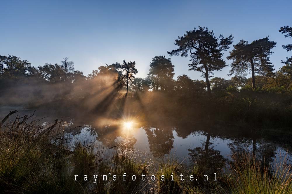 Zonneharp boven het ven bij de Goudberg in Strijbeek.