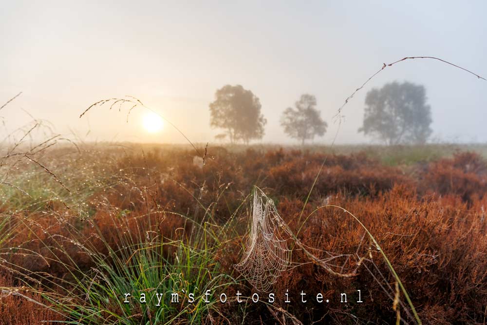 Langzaam komt de zon op over de Ginkelse heide bij Ede.