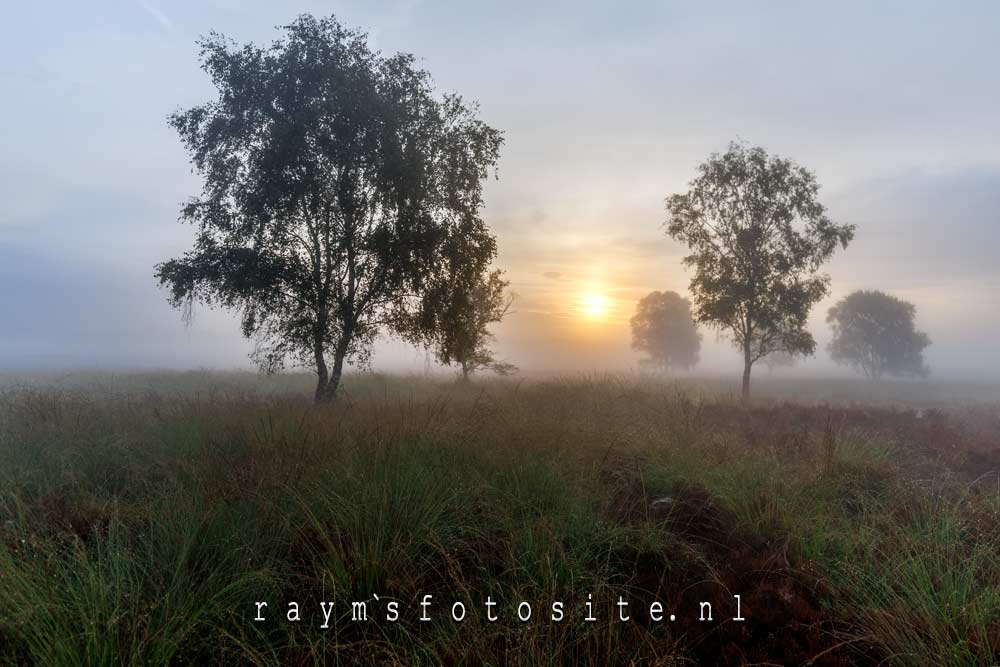 De zon heeft moiete om tussen de wolken door te schijnen. Het gras is nat, en ik dus ook.