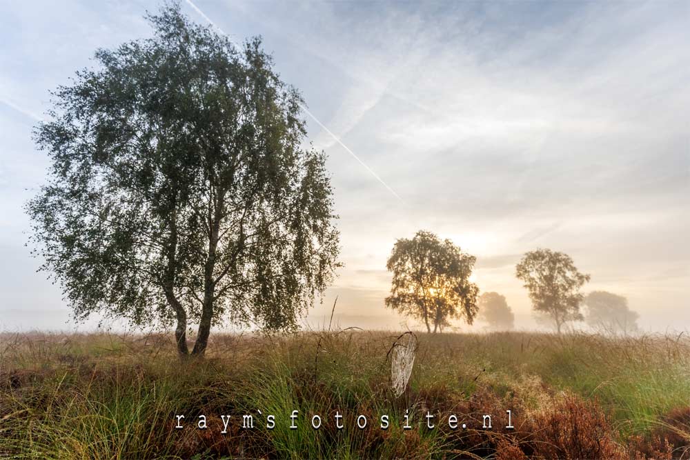 Langzaam komt de zon op op de Ginkelse heide. Op de voorgrond een spinnenweb met dauw.