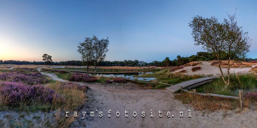 Heide landgoed Heidestein bij Zeist. Een prachtig natuurgebied!