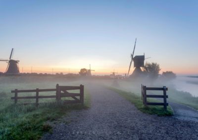 Nederlandse landschappen. Kinderdijk in de mist tijdens zonsopkomst.