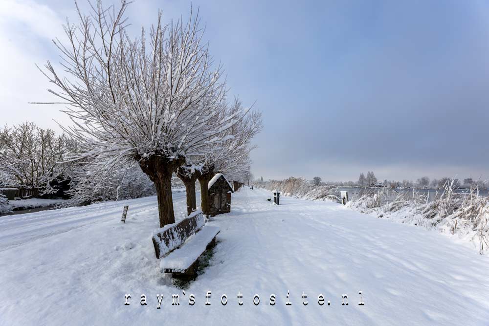 Reeuwijkse Plassen. Zo`n dik pak sneeuw was lang geleden! Reeuwijkse Plassen. Zo`n dik pak sneeuw was lang geleden!