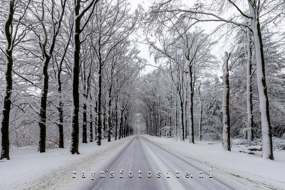 De besneeuwde weg naar Radio Kootwijk. Hier was ontzettend veel gevallen. De besneeuwde weg naar Radio Kootwijk. Hier was ontzettend veel gevallen.