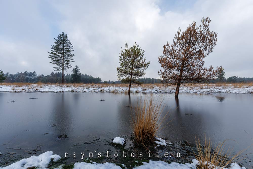 Sneeuwlandschappen. De Spinsterberg bij Valkenswaard.