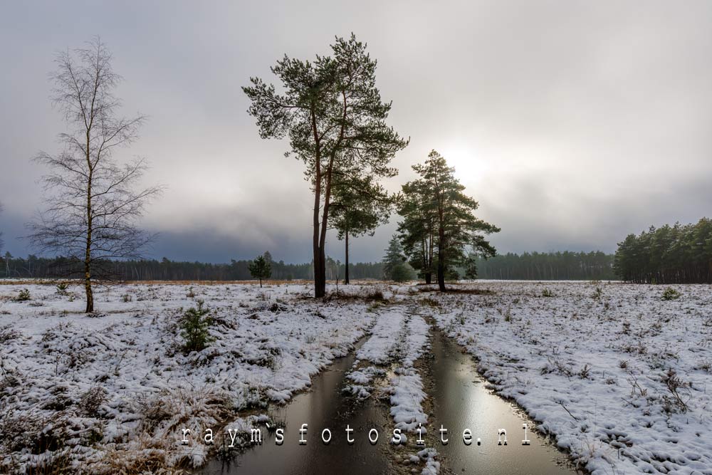 Sneeuwlandschap. Zo vaak hebben we tegenwoordig in de winter geen sneeuw meer!