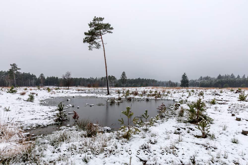 Winterlandschappen. De Spinksterberg bij Valkenswaard.