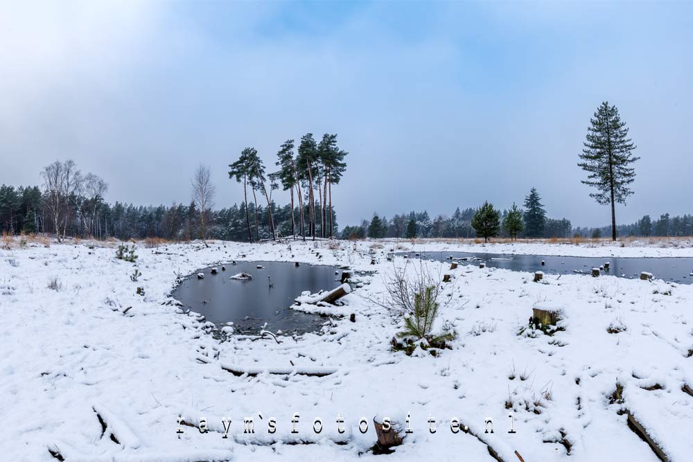 Spinsterberg bij de Valkenhorst bij Leende, Brabant.