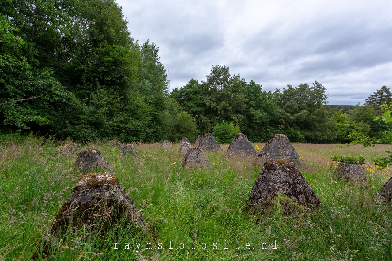 Westwall of Höckerlinie , 2e wereldoorlog drakentanden Lammersdorf.