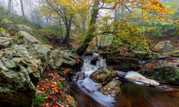 Watervallen in België