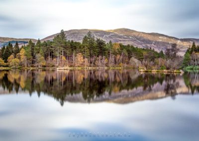 Glencoe Lochan is een bosgebied net ten noorden van het dorp Glencoe in de Schotse Hooglanden