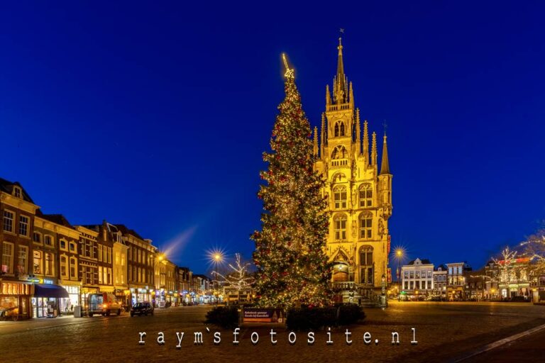 Gouda Stadhuis Kerst Kerstboom Sint Janskerk avond