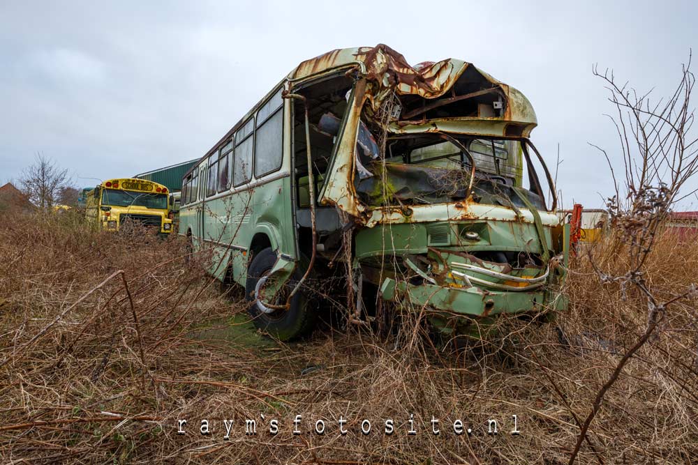 Diverse bussen en auto`s van een verwoed verzamelaar.