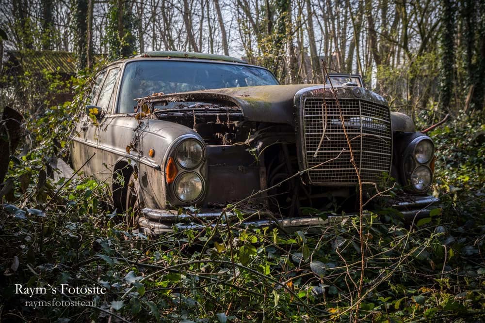 Een hel oude Mercedes in de tuin, bijna overwoekerd.