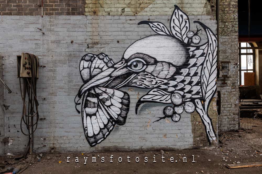 Street art in deze slechts half afgebroken fabriek.