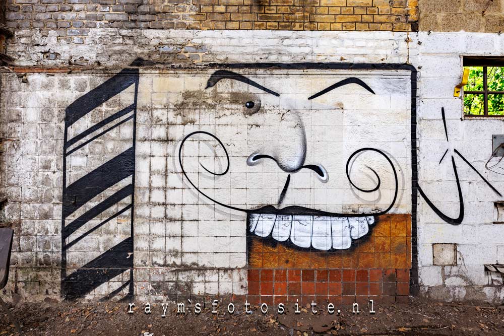 Tegenwoordig is er wat Street art in de fabriek te vinden.