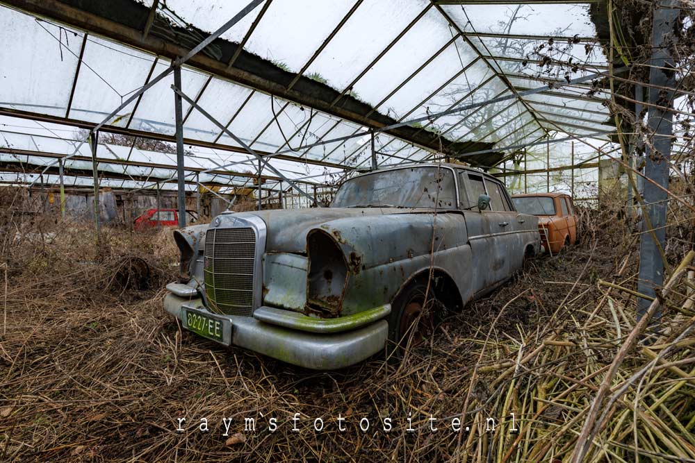  Mercedes 230 S automaat. Prachtige oude verlaten auto in een kas.