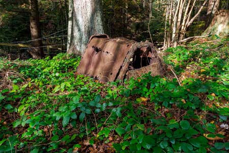 Les waggonets des Marais. verlaten mijnkarren in een bos in België.