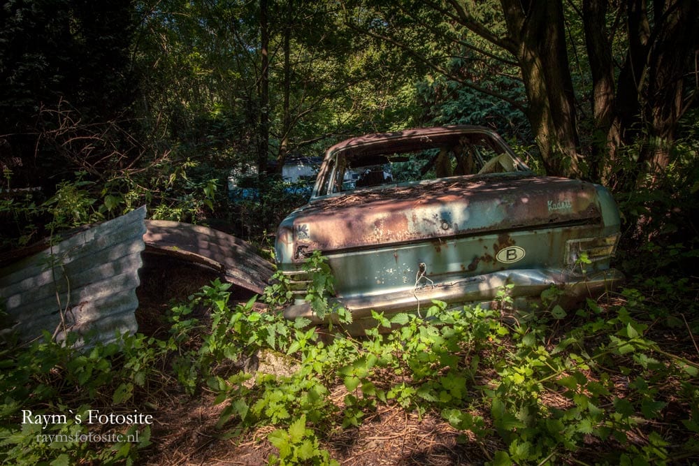 Lost in the Woods. Op het terrein staan nog meer achtergelaten auto`s.
