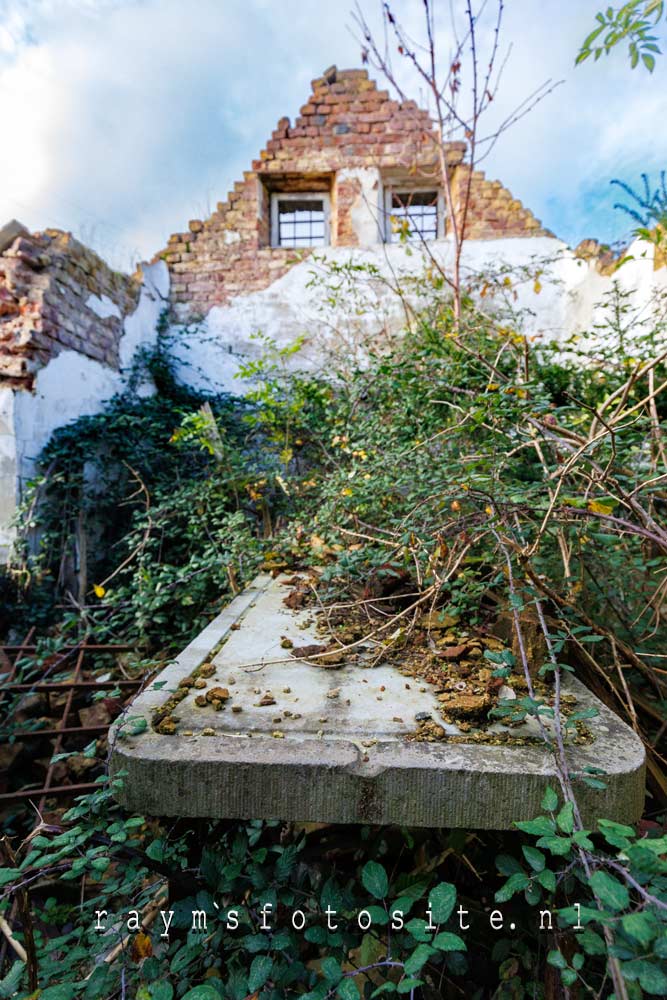 Urbex morgue België, wat compleet overwoekerd is.