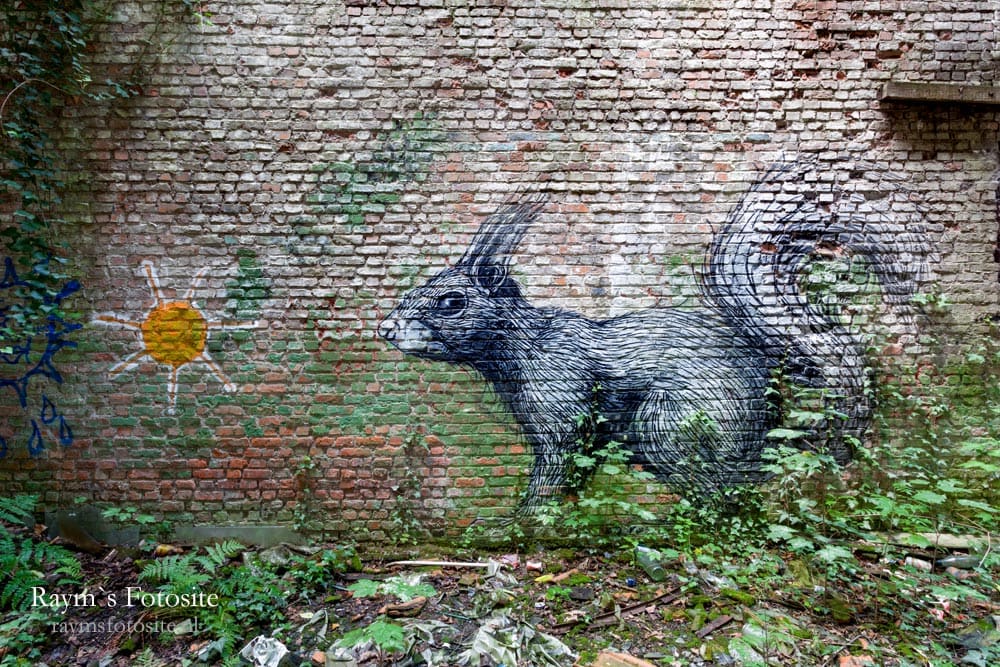 Eekhoorn kunstenaar ROA. Typisch voor ROA is de gedetailleerde vachten van dieren.