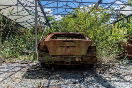 Spiderweb Cars. Oude auto`s die bijna in een soort jungle lijken te staan.
