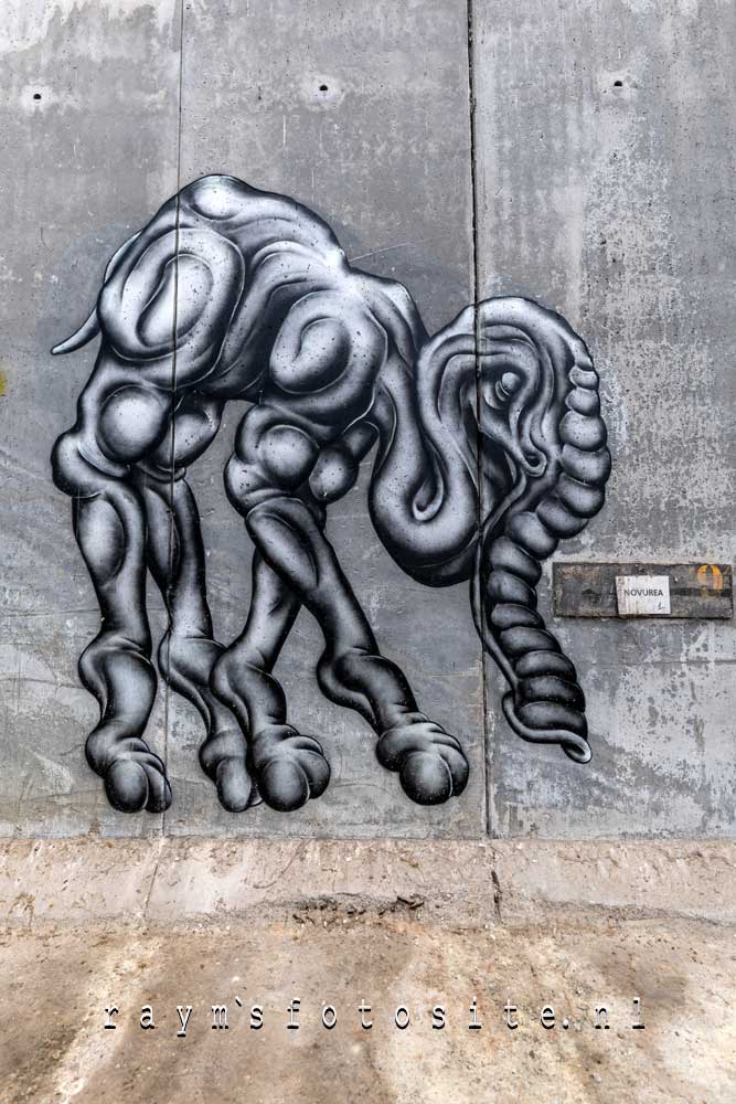 Prachtige Street Art van la.kus.