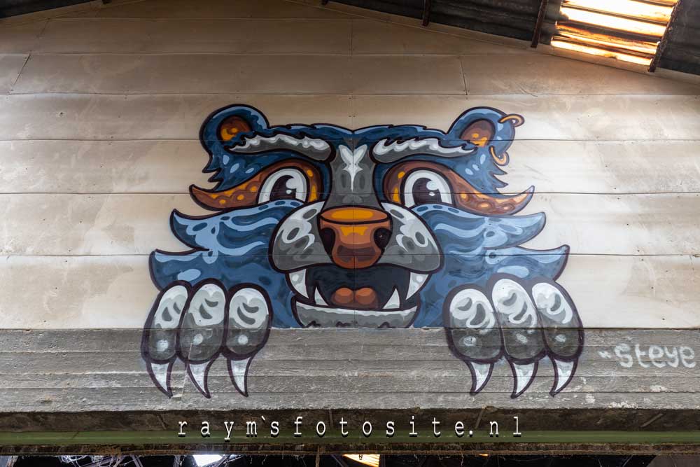 Steye_Ve maakte dit graffiti kunstwerk.