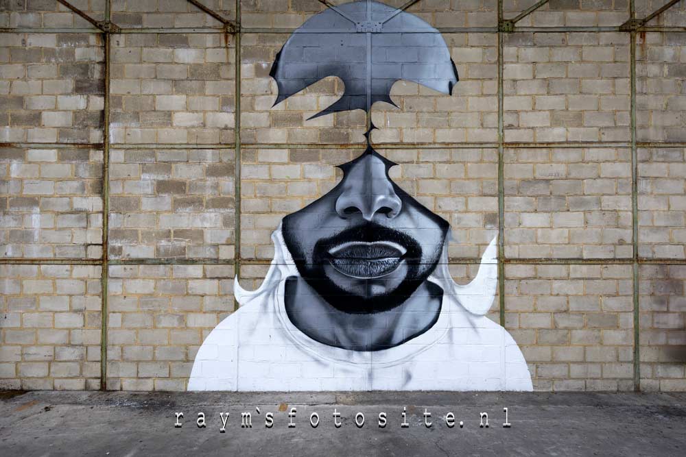 Gave streetart op 1 van de muren van deze glasfabriek.