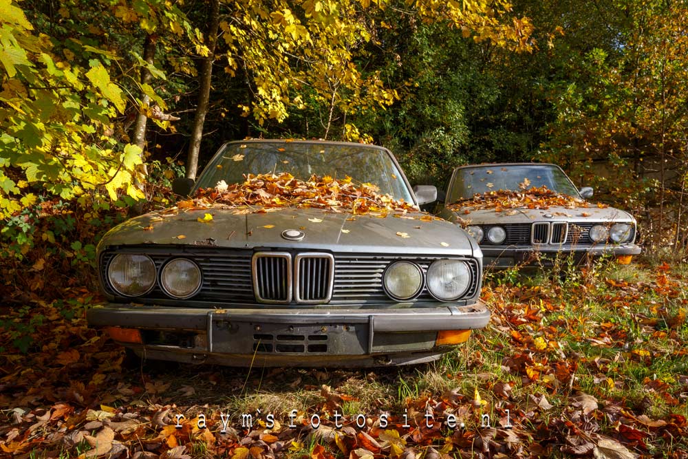 Les BM de boissees. 2 prachtige BMW`s naast elkaar in herfstkleuren.