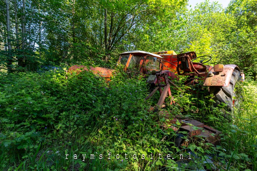 Oude tractoren helemaal overgroeid door de natuur